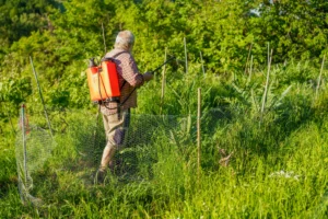 Weed Control in NC