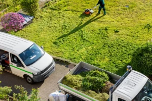 Weekly Lawn Maintenance
