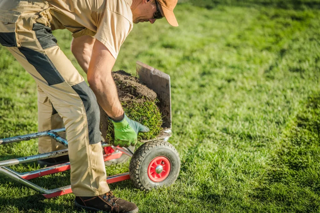 Complete Lawn Care Program