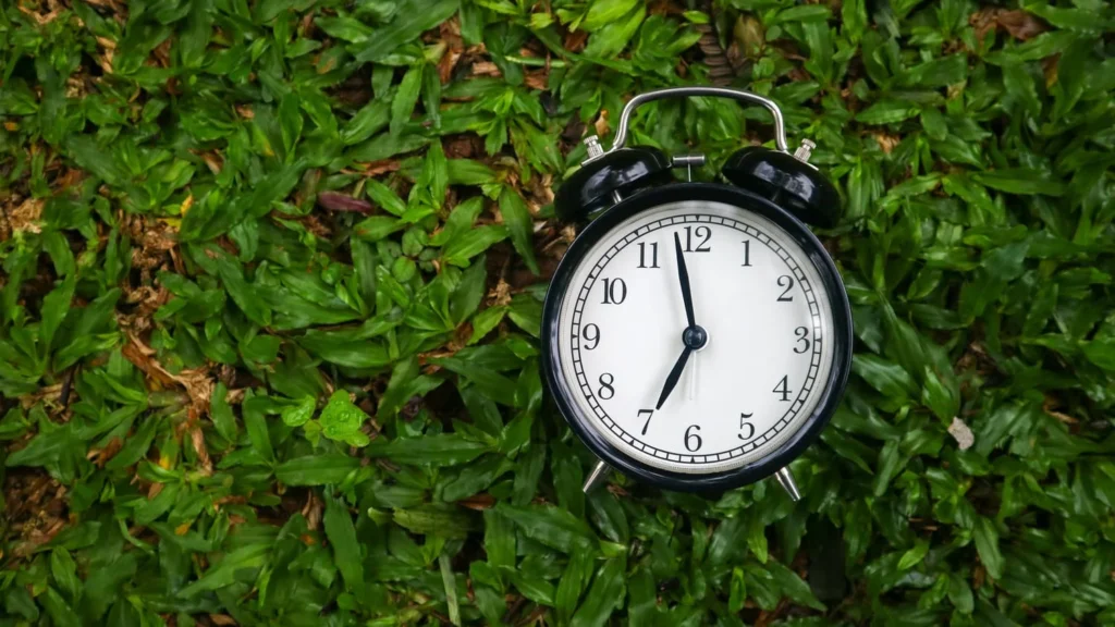 Best Lawn Fertilization Schedule for North Carolina Lawns