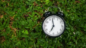 Best Lawn Fertilization Schedule for North Carolina Lawns