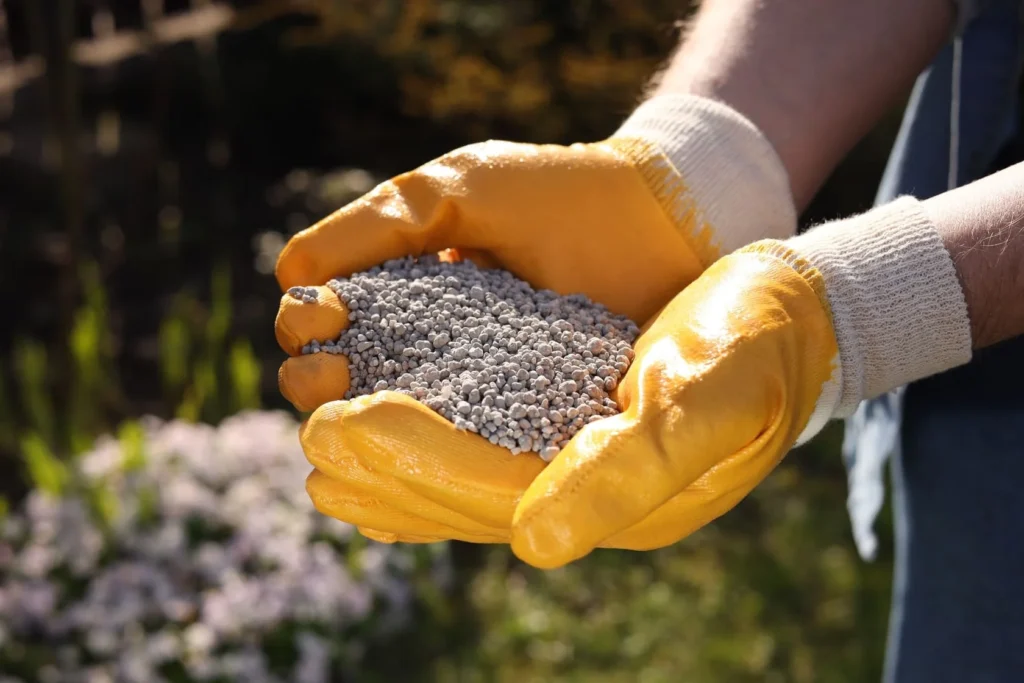 Best Lawn Fertilization Schedule for North Carolina Lawns