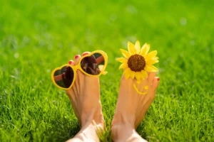 Top Summer Lawn Care Tips for Homeowners in Lake Norman