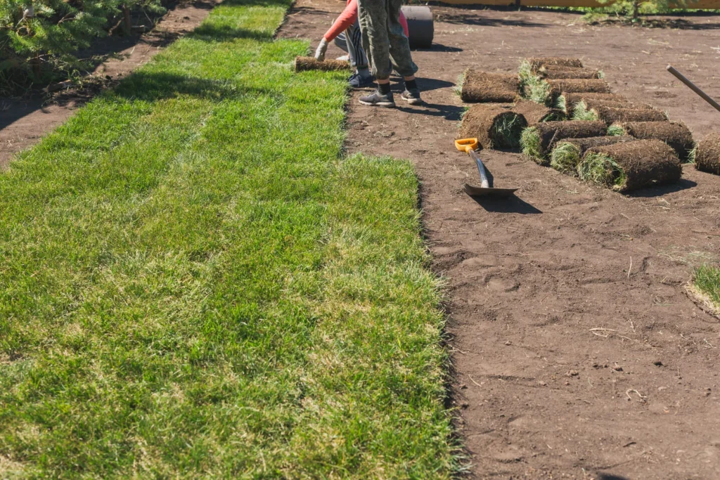 lawn aeration service near me