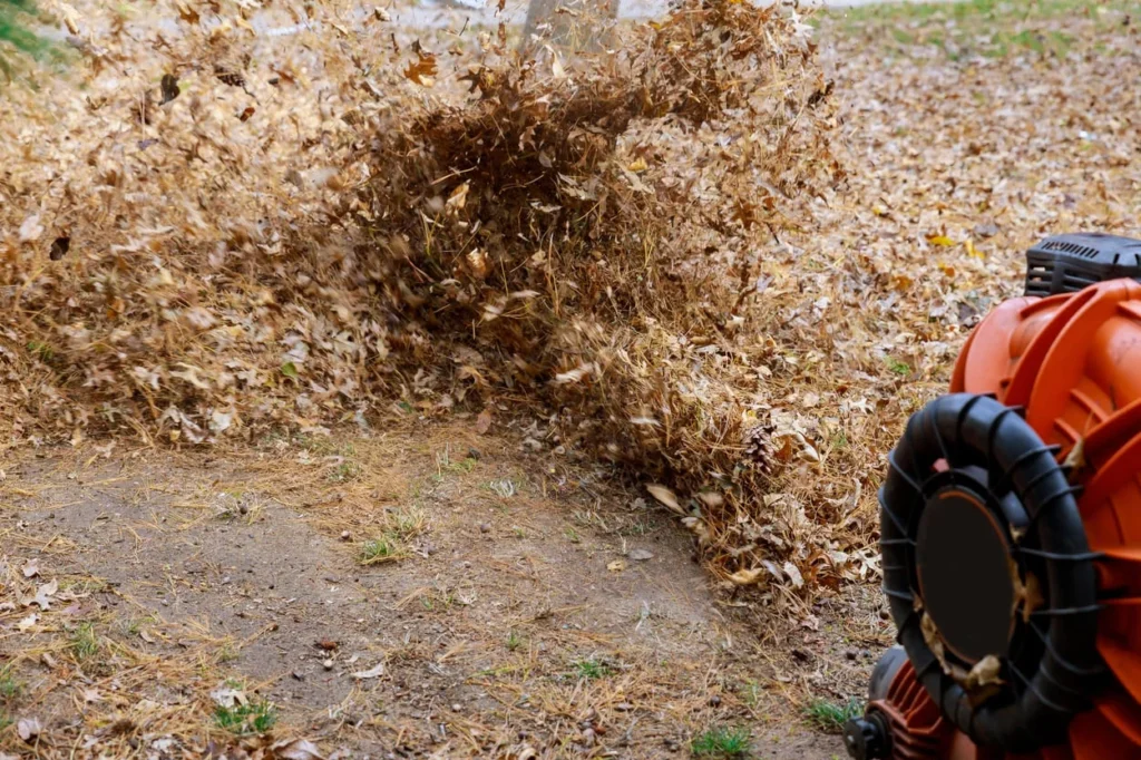 leaf removal services