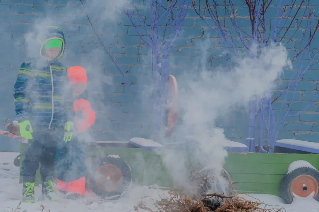 how to protect your lawn during winter